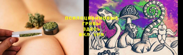 прущая мука Сосновоборск